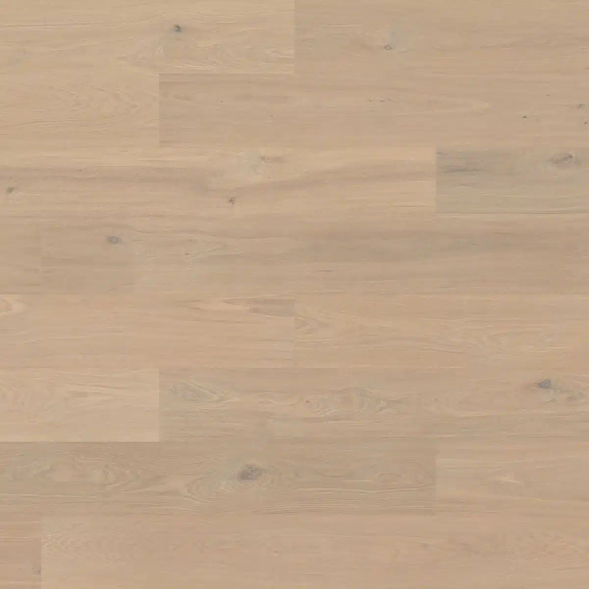 Vannas XXL – Image 2