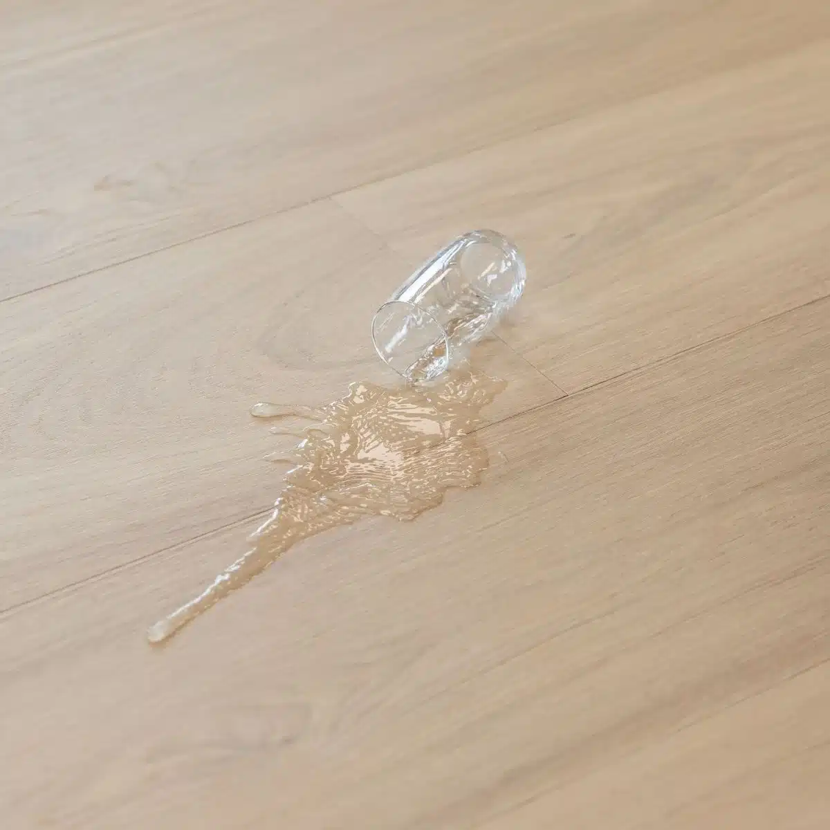 Vannas XXL – Image 3