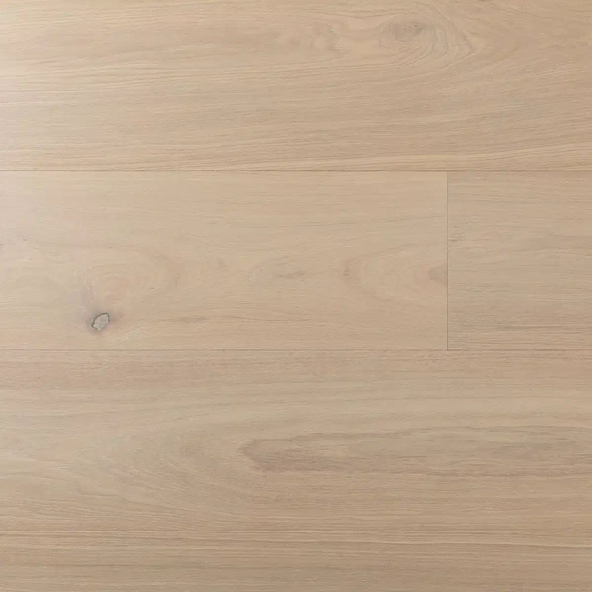 Vannas XXL – Image 5