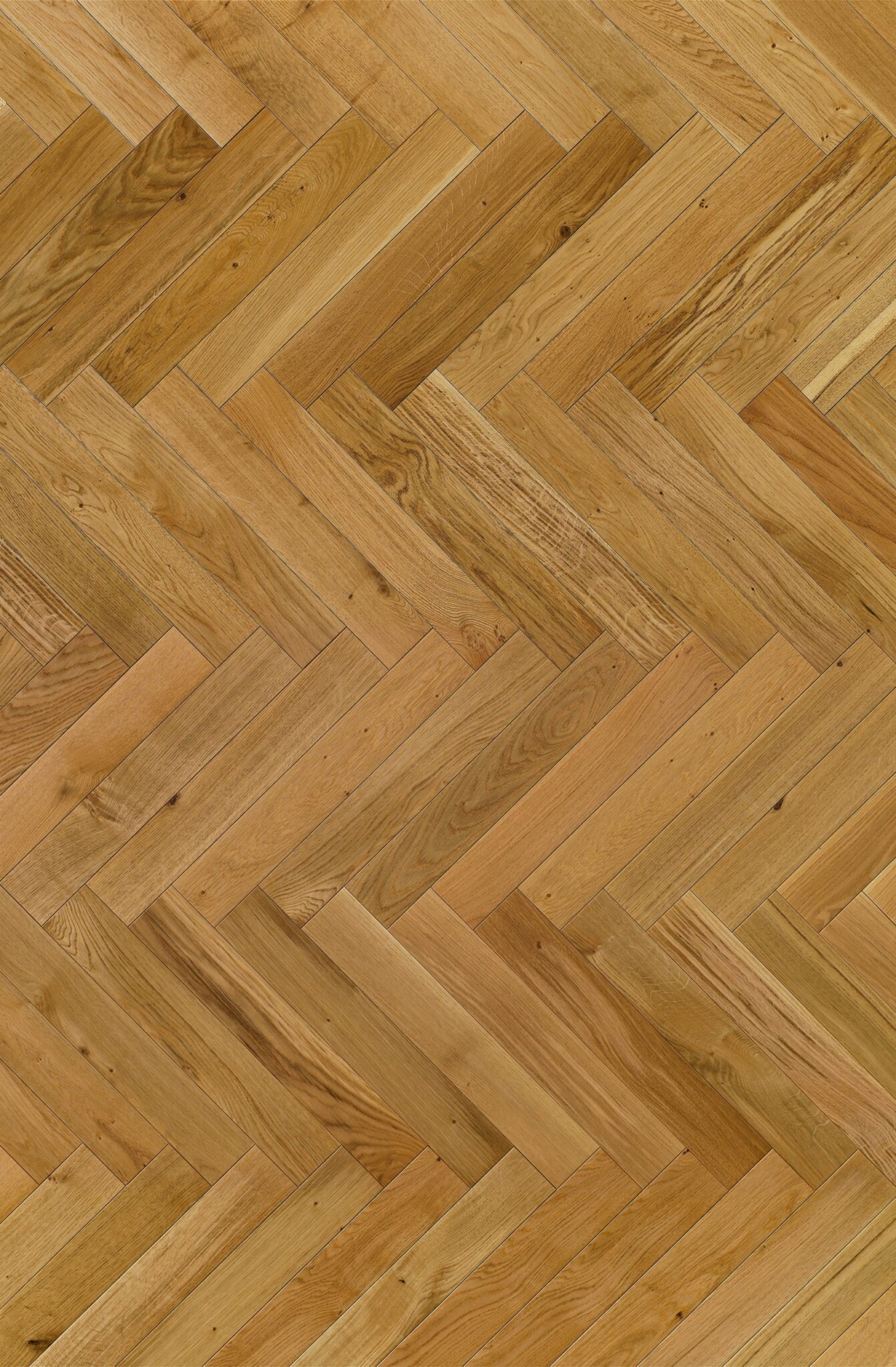 Bruni Huilé – Image 2