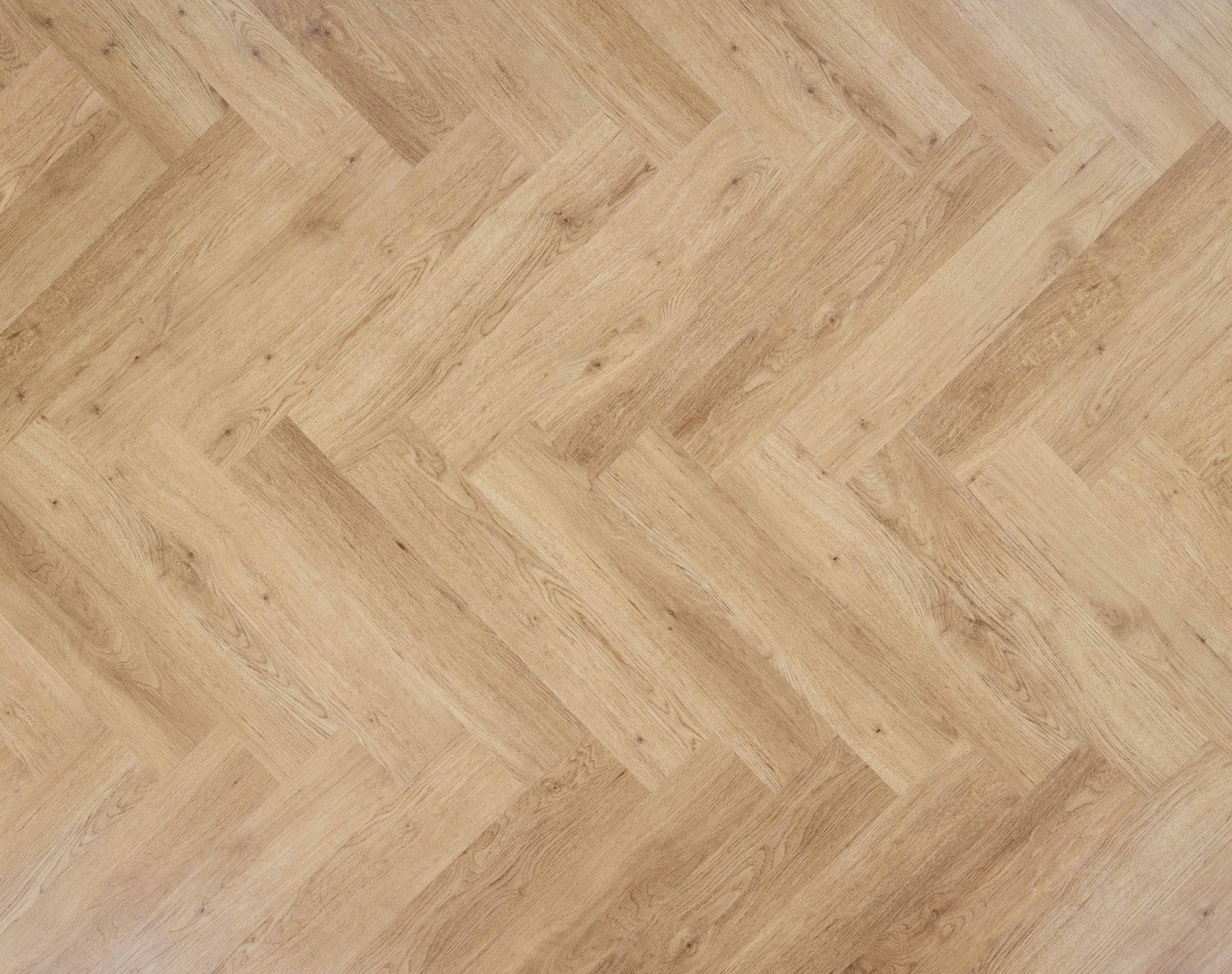 Concorde – Image 2