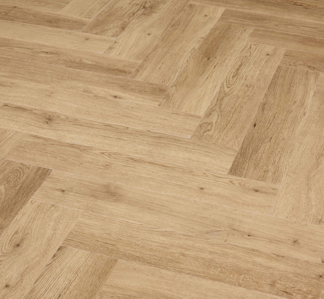 Concorde – Image 3